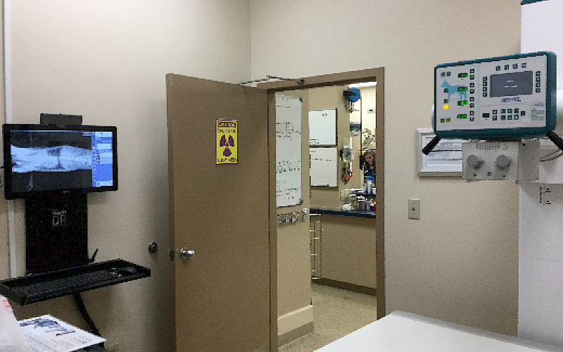 Newly renovated Radiology Suite, complete with brand new state-of-the-art Digital X Ray!