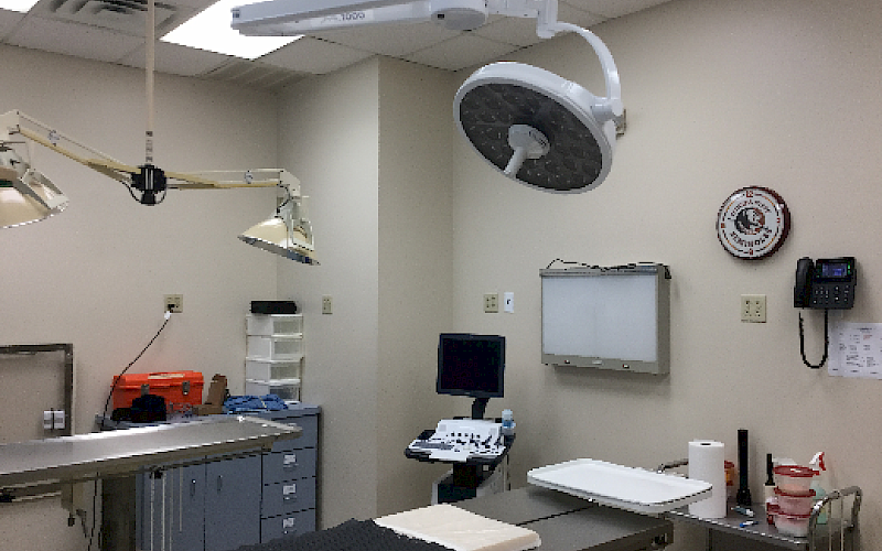 This is our newly remodeled Surgical Suite looking through the observation window to the surgery prep area.