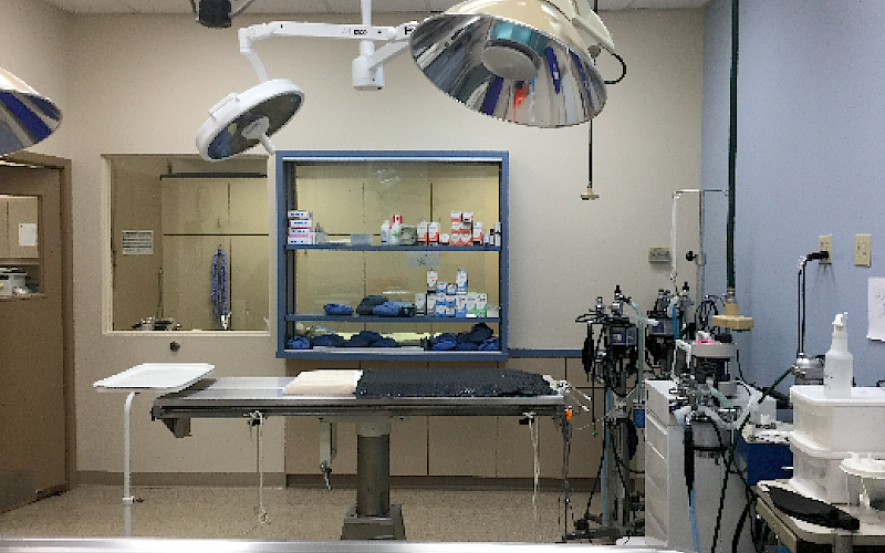 Fully equipped and newly renovated Surgery Suite complete with new state-of-the-art Digital Ultrasound. Equipped to perform two surgical procedures simultaneously with anesthesia monitoring, oxygenating equipment and anesthesia machines.
